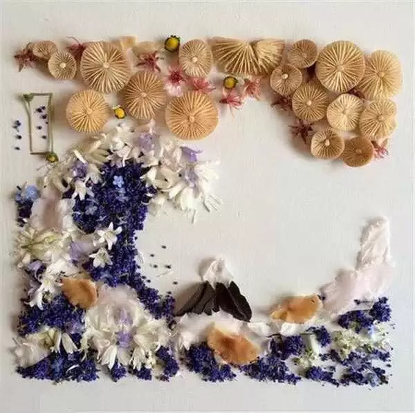 这才是玩植物的最高境界，太美了！