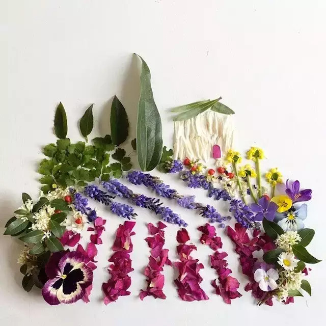 这才是玩植物的最高境界，太美了！