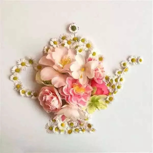 这才是玩植物的最高境界，太美了！