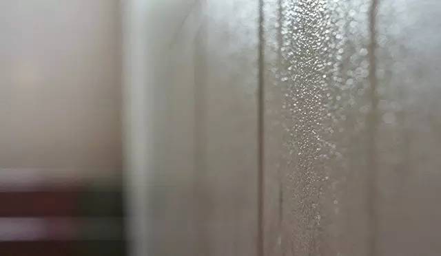 卖萌多半是天生的：6大萌植拯救湿哒哒的心情