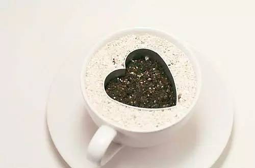 卖萌多半是天生的：6大萌植拯救湿哒哒的心情