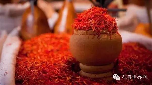 让《疯狂动物城》疯狂的藏红花