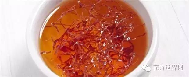 让《疯狂动物城》疯狂的藏红花