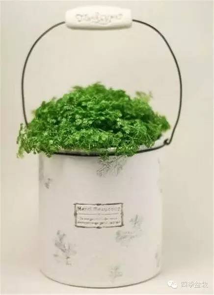 家里的罐头千万别丢:收集起来居然有这些用处