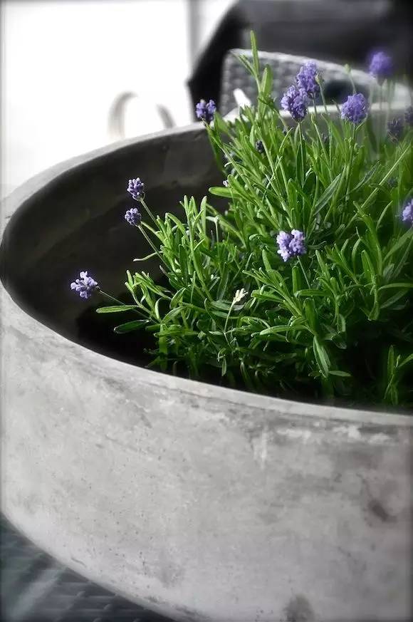 水泥原来也可以这样玩