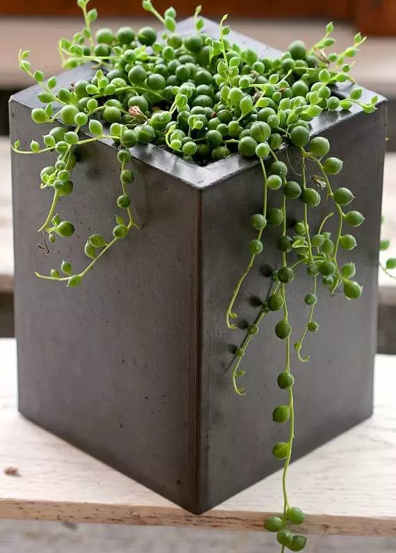 水泥原来也可以这样玩