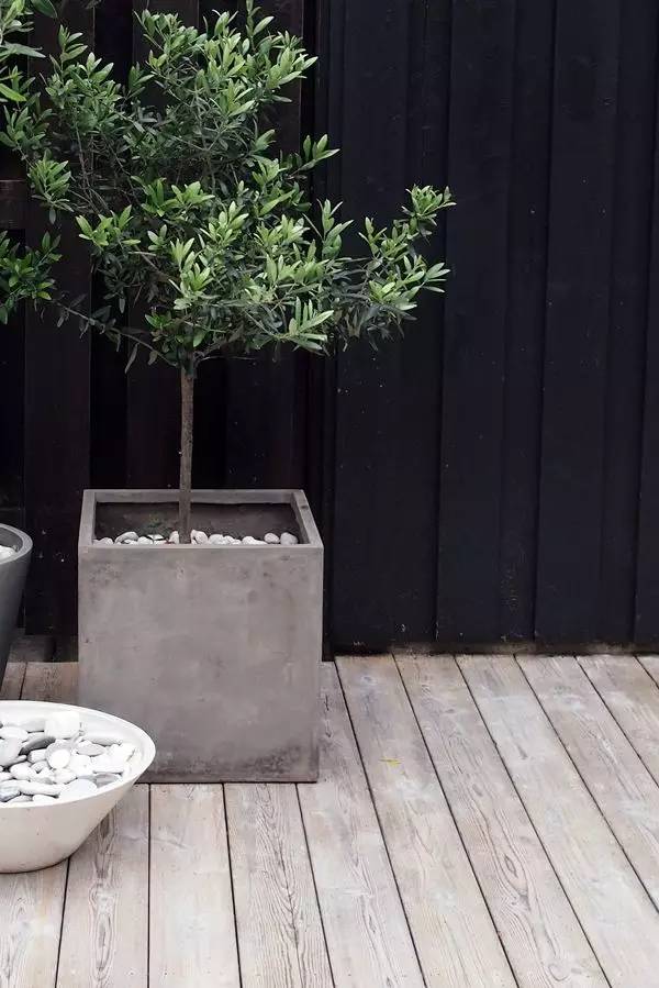 水泥原来也可以这样玩