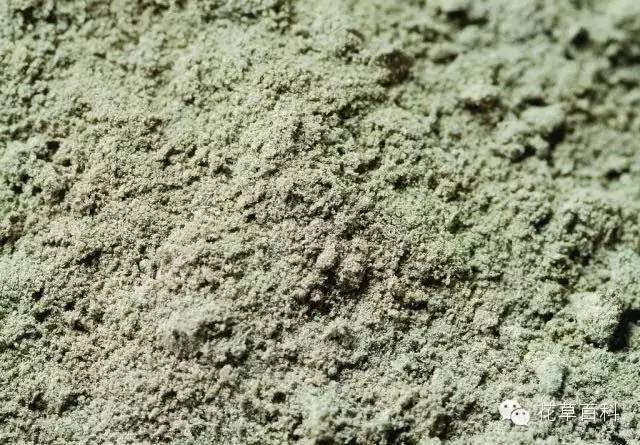 七多”与“七少”原则，养花新手必学