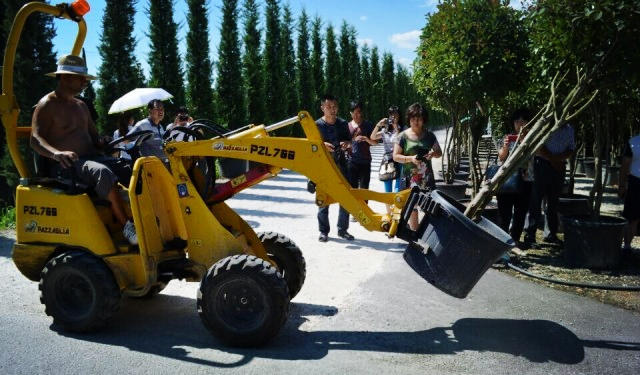 欧洲高逼格苗圃生产模式！出次品都难！