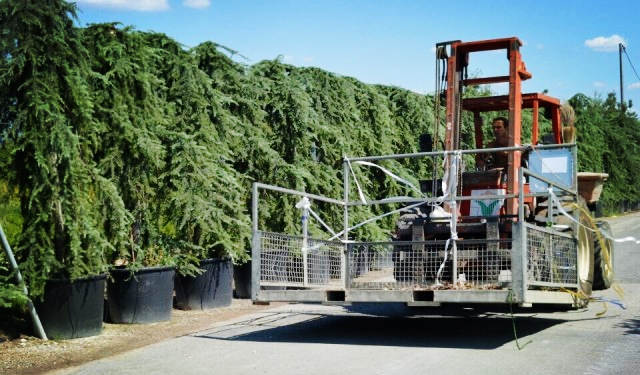 欧洲高逼格苗圃生产模式！出次品都难！