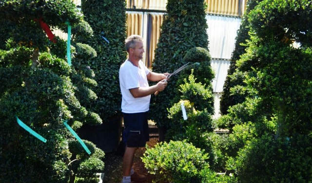 欧洲高逼格苗圃生产模式！出次品都难！