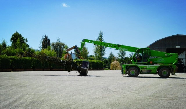 欧洲高逼格苗圃生产模式！出次品都难！