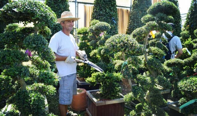 欧洲高逼格苗圃生产模式！出次品都难！