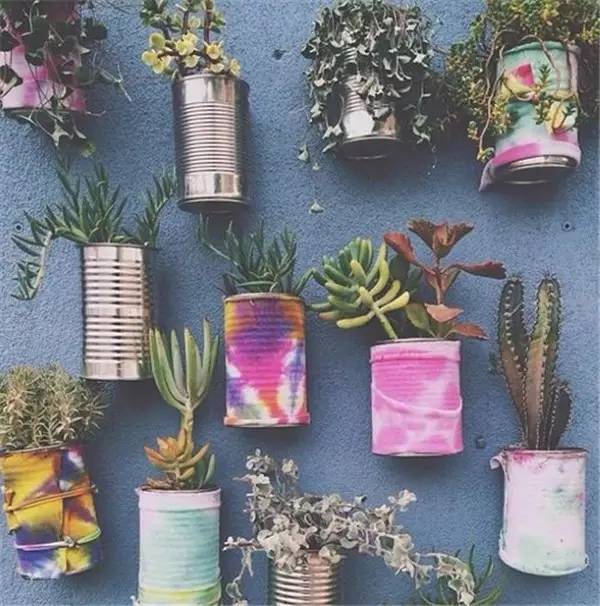 别再买花盆了，教你不花一分钱做盆栽！