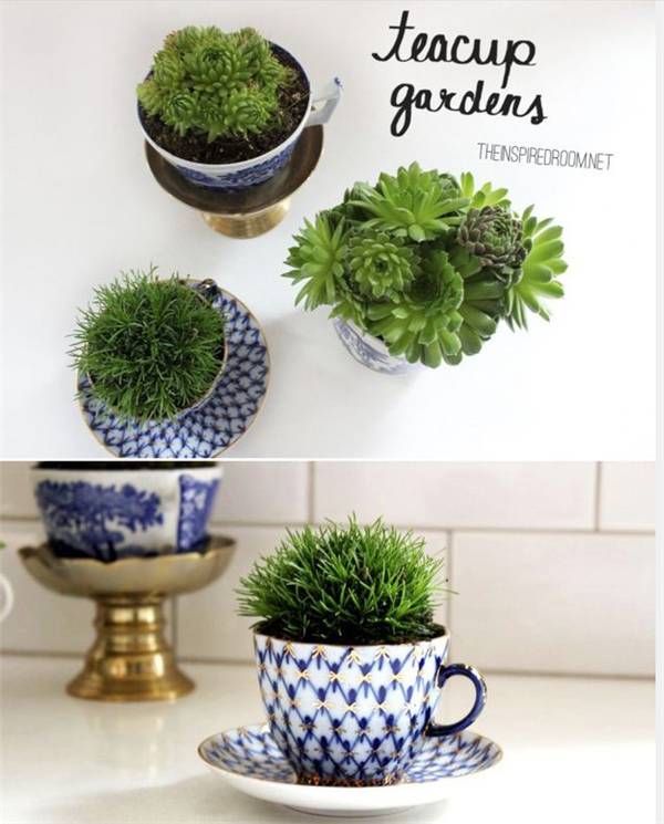 别再买花盆了，教你不花一分钱做盆栽！