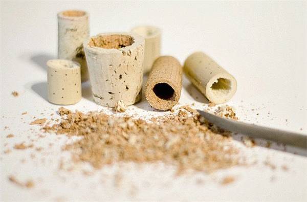 别再买花盆了，教你不花一分钱做盆栽！