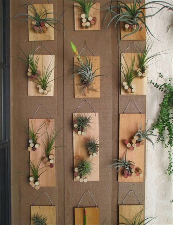 别再买花盆了，教你不花一分钱做盆栽！