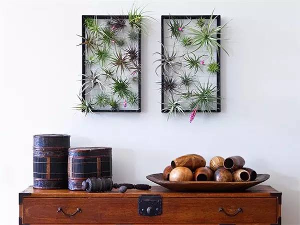 别再买花盆了，教你不花一分钱做盆栽！