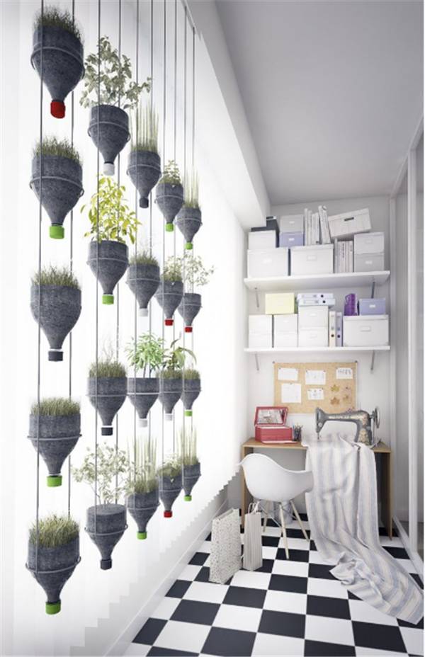 别再买花盆了，教你不花一分钱做盆栽！