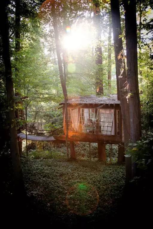 他用废弃物造了三间大树屋