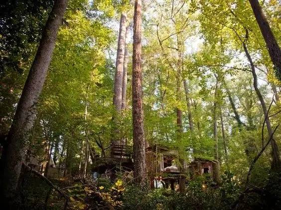 他用废弃物造了三间大树屋