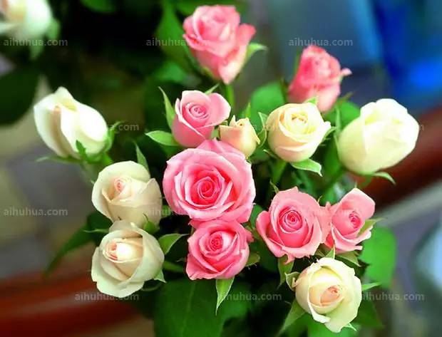 切花鲜花的护养六大法