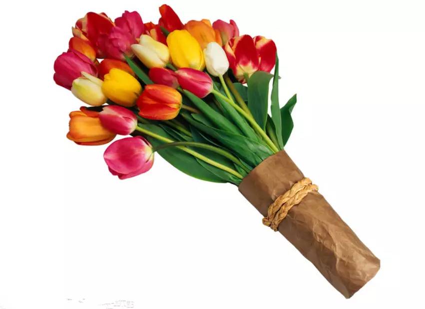 切花鲜花的护养六大法