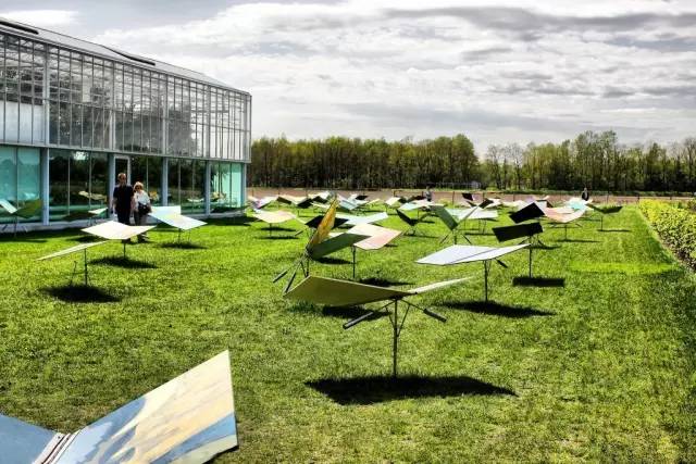 你身边的草坪景观