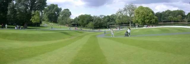 你身边的草坪景观