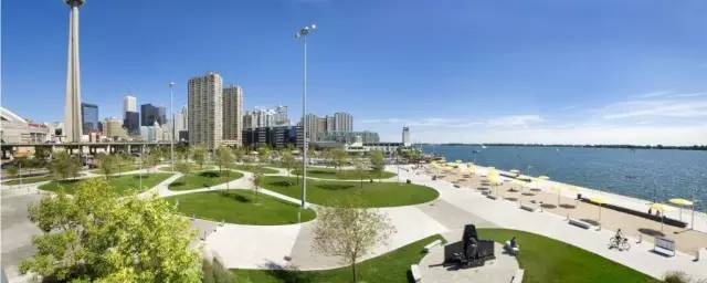 你身边的草坪景观