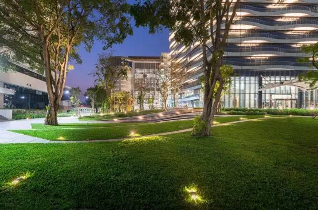 你身边的草坪景观