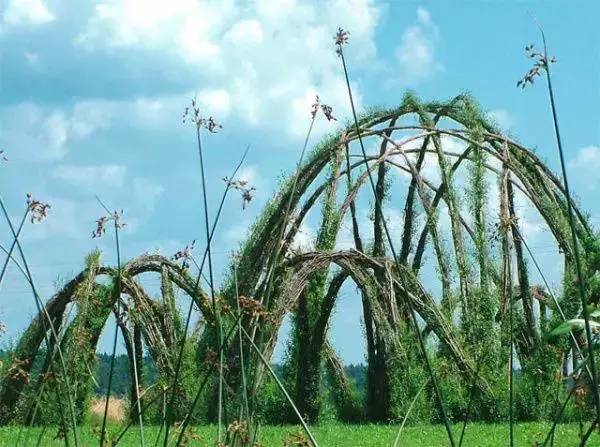 世界上最奇葩的花园，让你大开眼界！