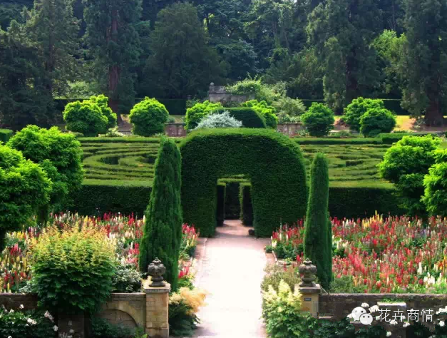 苗木挣钱的十大秘诀，不看是你的损失！