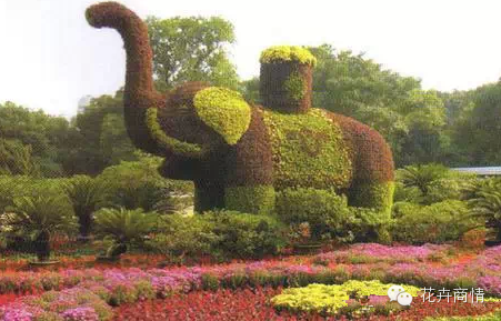 苗木挣钱的十大秘诀，不看是你的损失！