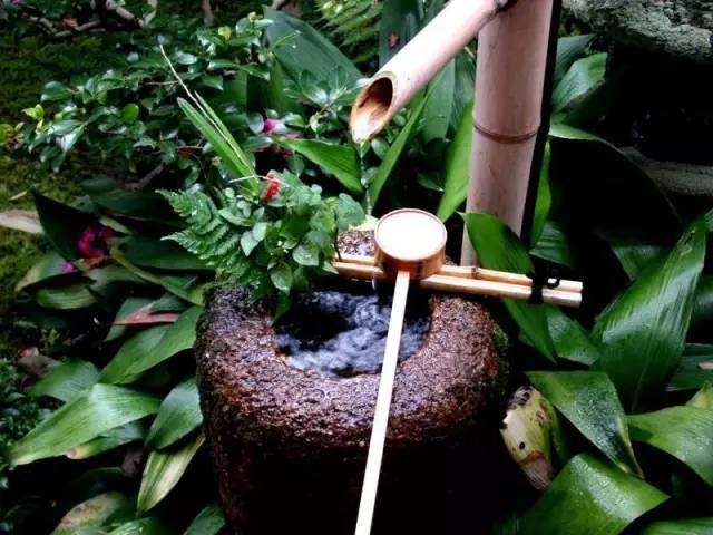 日本庭院中的“添水”