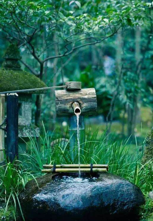 日本庭院中的“添水”