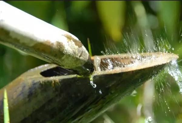 日本庭院中的“添水”