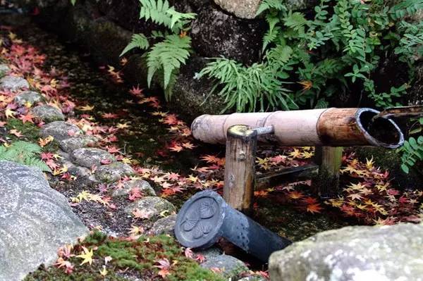 日本庭院中的“添水”