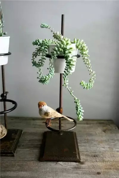 用这样的花架，让你种花更美！