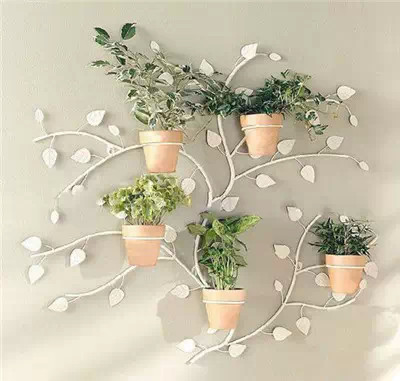 用这样的花架，让你种花更美！