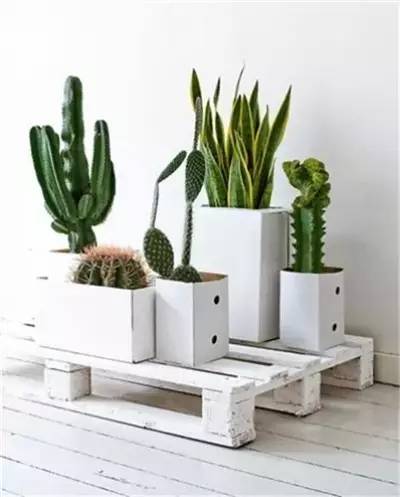 用这样的花架，让你种花更美！