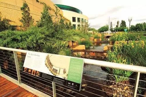 你还在问雨水花园是什么吗 看了这个保你知道~