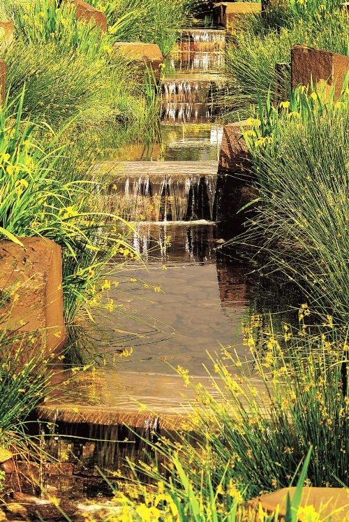 你还在问雨水花园是什么吗 看了这个保你知道~