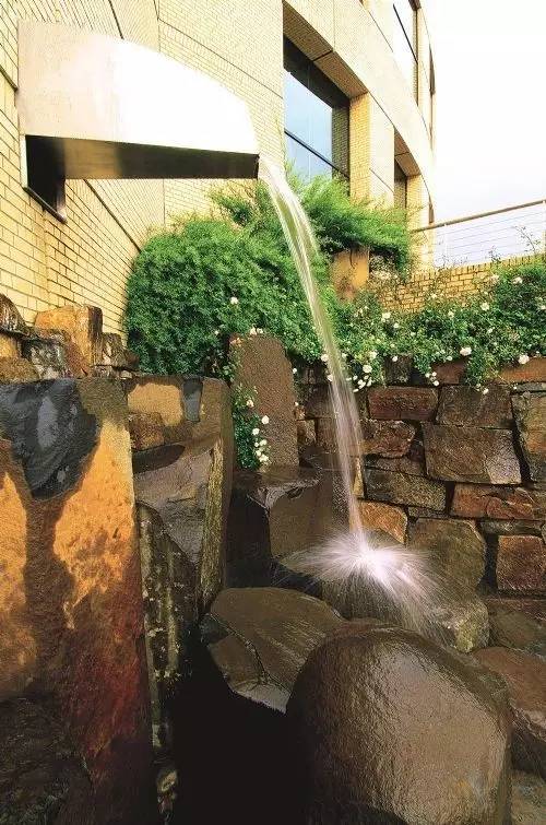 你还在问雨水花园是什么吗 看了这个保你知道~