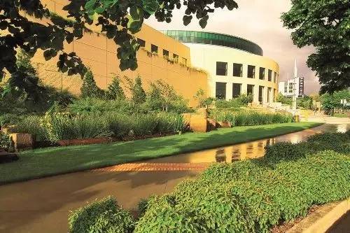 你还在问雨水花园是什么吗 看了这个保你知道~