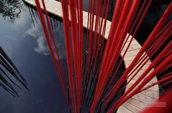 你还在问雨水花园是什么吗 看了这个保你知道~