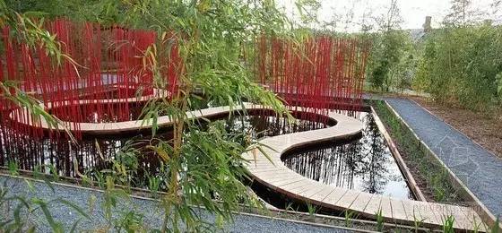 你还在问雨水花园是什么吗 看了这个保你知道~