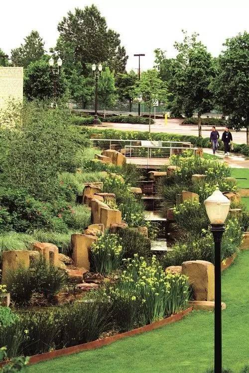 你还在问雨水花园是什么吗 看了这个保你知道~