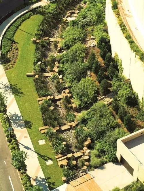 你还在问雨水花园是什么吗 看了这个保你知道~