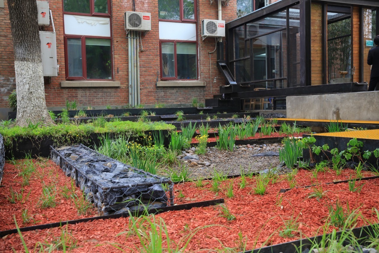 你还在问雨水花园是什么吗 看了这个保你知道~